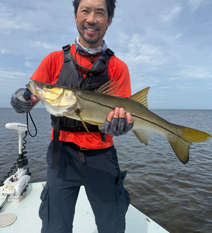 Beautiful Bayport snook making the trip worthwhile!