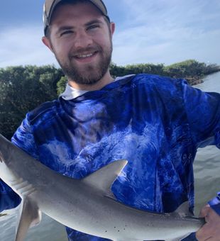 Shark time! - Bayport, FL.
