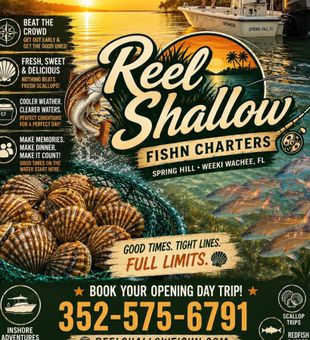 Spring Hill redfish action with Reel Shallow Charters!
