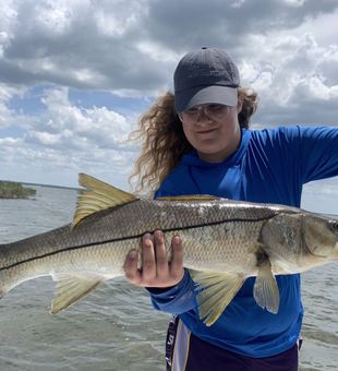 Snook time! - Bayport, FL.