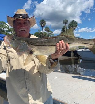 Beautiful Spring Hill snook caught and ready for release!