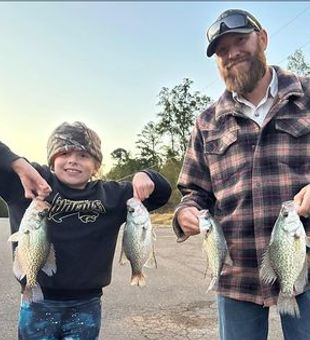 Elite Guntersville Guide Service, Fishing crappie