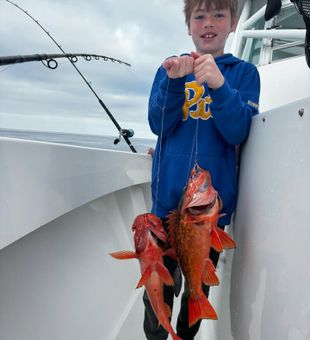 Bottom bite was steady