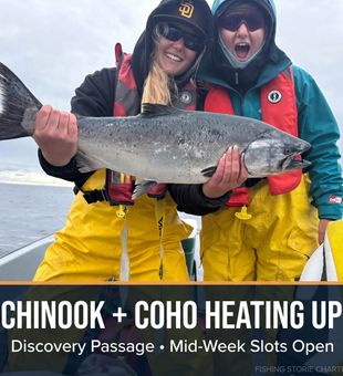 Campbell River Chinook salmon heating up the action!