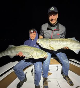 Find the Stripers along the Wells rock piles.