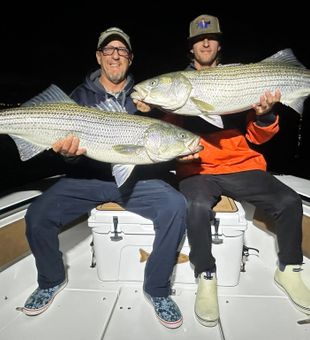 Double Stripes!  -Wells, ME.