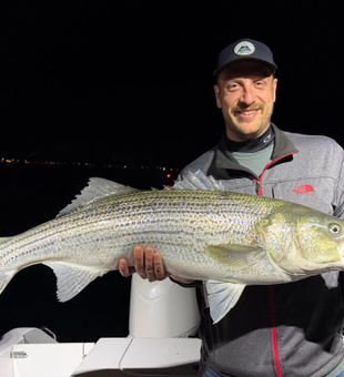 Back bays and big Bass in Wells.