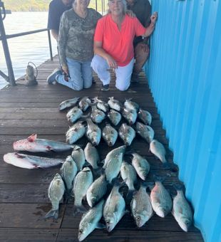 Outstanding white bass fishing in Tow TX!