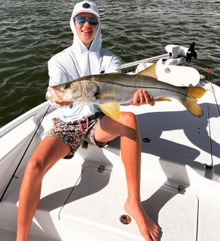 Hooked On Snook Fishing In Sarasota