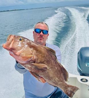 Red Grouper Bounty Captured In Florida Waters