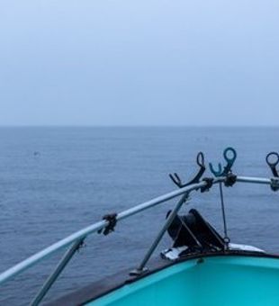 Bodega Bay: sky, sea and serenity!