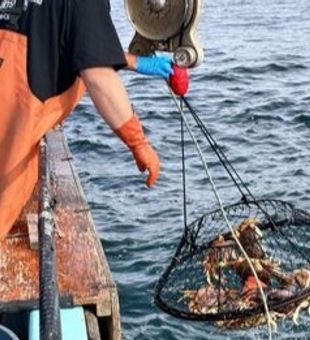 Reeling in adventure in Bodega Bay
