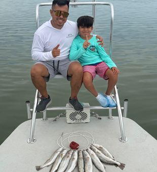 Summer 2026 Trout Action 