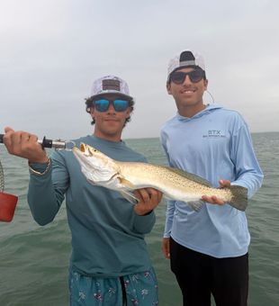 Beautiful SPI speckled trout bringing smiles to anglers!