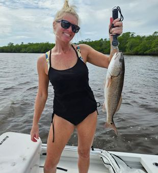 Beautiful redfish catch!