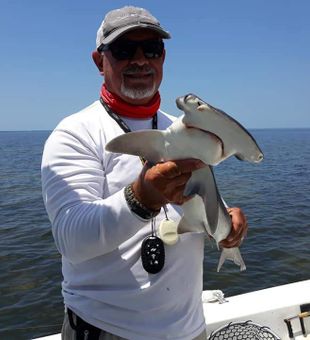 Destin Shark fishing