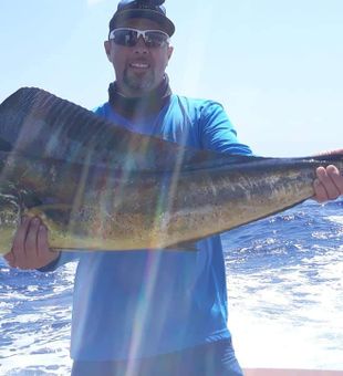 Caught a Mahi Mahi from Destin fishing trip