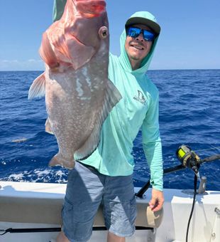 Red grouper from Port Orange Florida waters!