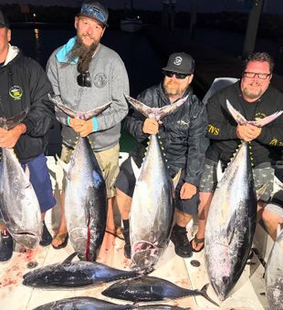 Heavy Bluefin tuna night catch