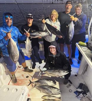Strong Bluefin tuna group catch