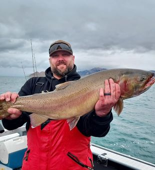 Huge Lake Tahoe Lake Trout