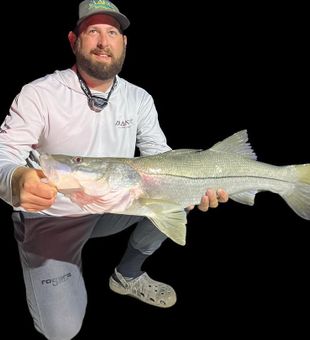 Trophy Snook in New Smyrna Beach!