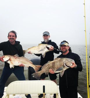 Big redfish caught near oyster bars