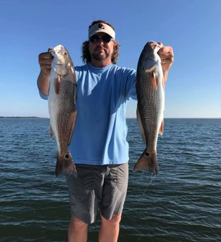 Redfish action in Apalachicola Bay