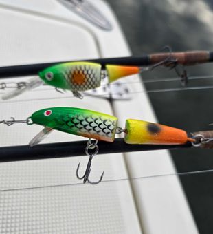 Ready to hit the water with these vibrant lures!