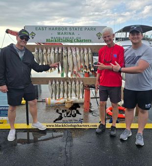 Marblehead walleye charter delivers impressive Lake Erie limits!