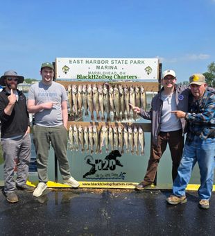 Outstanding Marblehead walleye action at East Harbor!