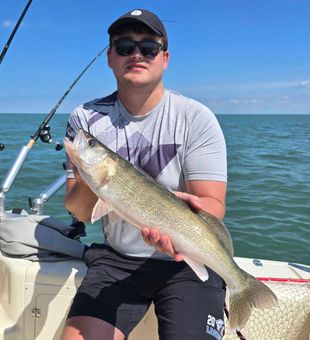 Nice Marblehead walleye making the day worthwhile!