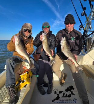 Triple walleye success at Lakeside Marblehead OH!