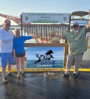 White bass limits from Lakeside Marblehead OH!