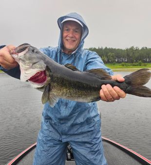 Impressive largemouth!