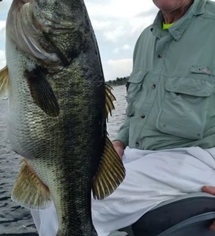 Bass catching with an experienced Angler.