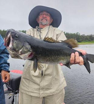 Powerful largemouth!