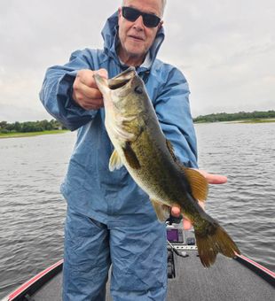 Solid largemouth!