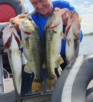 Bass catches for today here in Central Orlando, FL