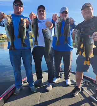 Successful Suwannee bass fishing at Lake Toho!