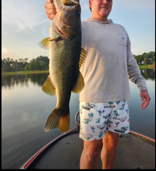 Another big bass from Winter Garden FL waters!