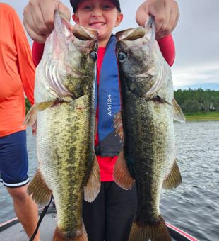 Bass fishing in Windermere FL