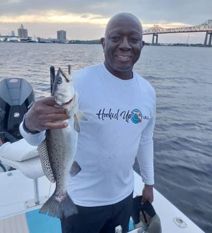 Strong Speckled Trout catch in Louisiana waters