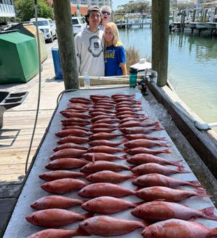 Outstanding red snapper haul at Pensacola Beach!