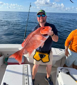 Beautiful red snapper from Pensacola Beach waters!