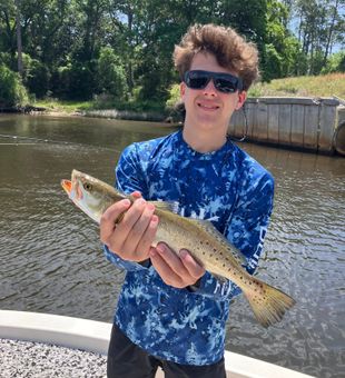 All about Trout -Panama City, FL.