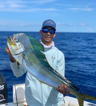 Finest Mahi Mahi 