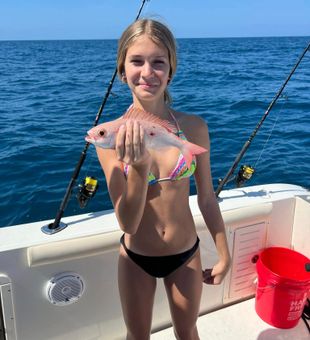 Create unforgettable memories on the Gulf waters with a Naples offshore fishing trip designed for families and beginners.