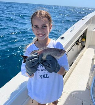 Enjoy a family-friendly offshore fishing adventure in Naples, FL, where anglers of all ages can experience the excitement of deep-sea fishing.