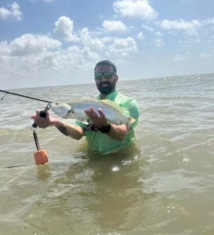 Matagorda inshore catch of the day